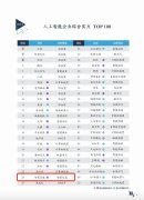 “2024中国人工智能企业综合实力top100”榜单