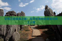 云南三明美食之旅:探寻当地特色佳肴与风土